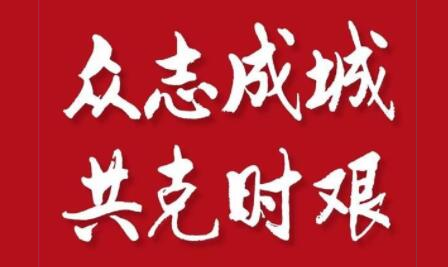 ?與武漢疫情“擦肩而過”的峰會