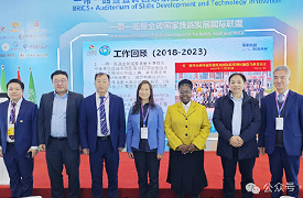 以標(biāo)準(zhǔn)化助推金磚技能發(fā)展、應(yīng)用技術(shù)與創(chuàng)新合作新未來